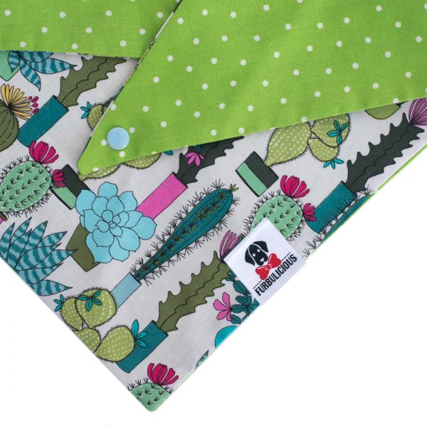 Furbulicious Pet Dog Accessories bandana Cactus Garden