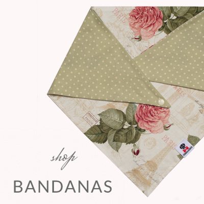 Furbulicious Bandana for Pets with Paris Design